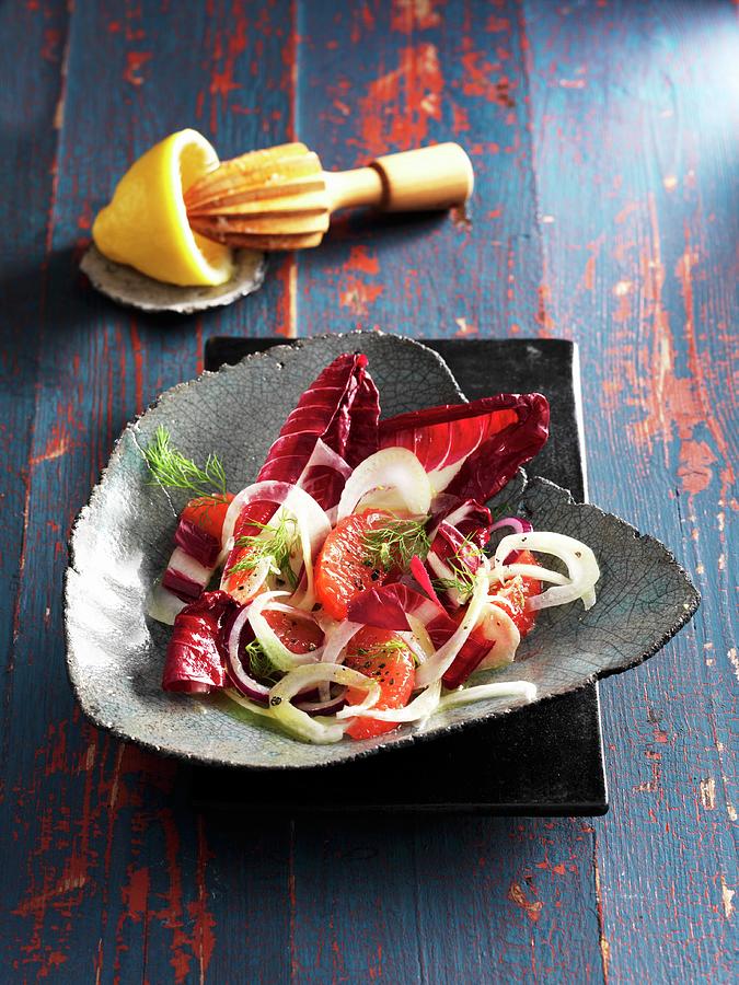 Radicchio With Fennel And Grapefruit Photograph by Newedel, Karl