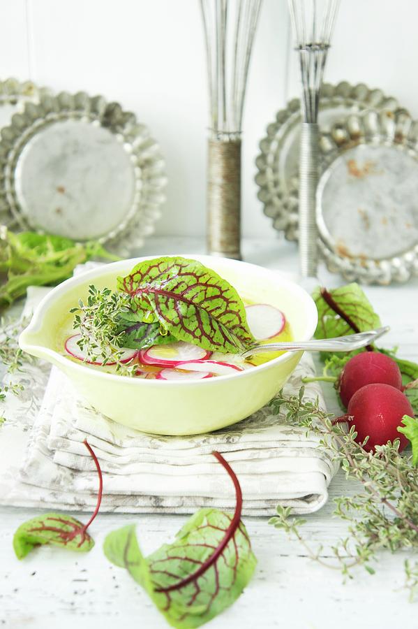 Radish Leaf Soup Garnished With Radishes, Thyme And Lettuce Photograph by Martina Schindler
