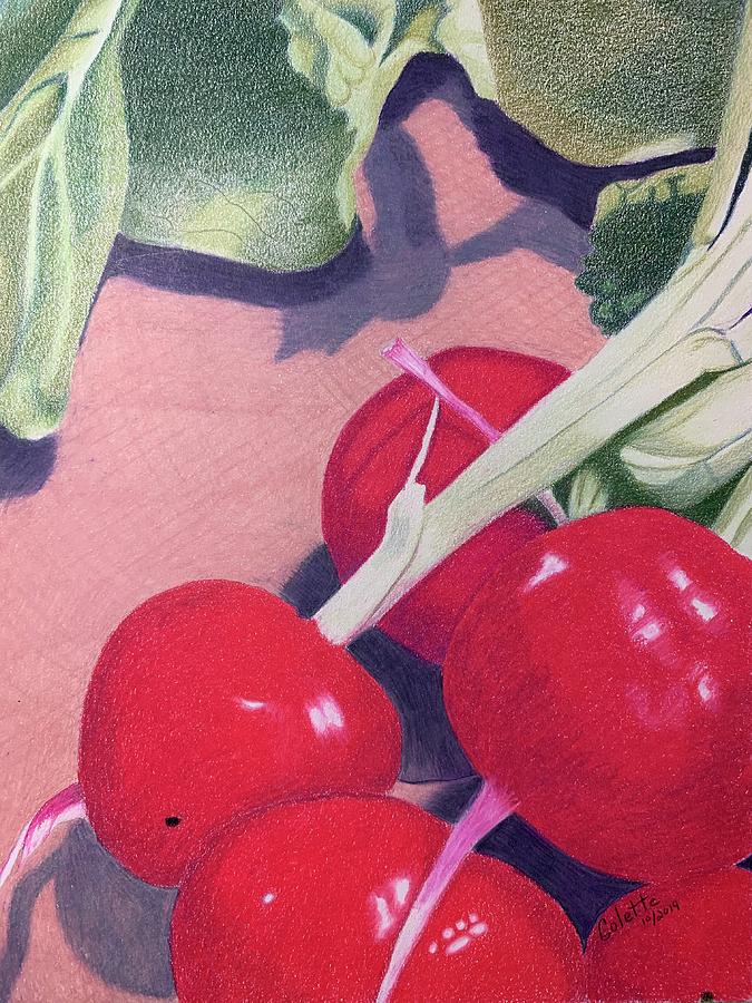 Radishes Drawing by Colette Lee