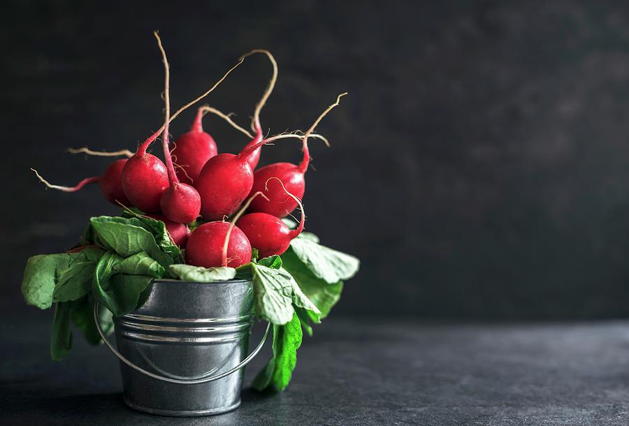 Radishes In A Small Metal Bucket On Dark Background Photograph by Ltummy