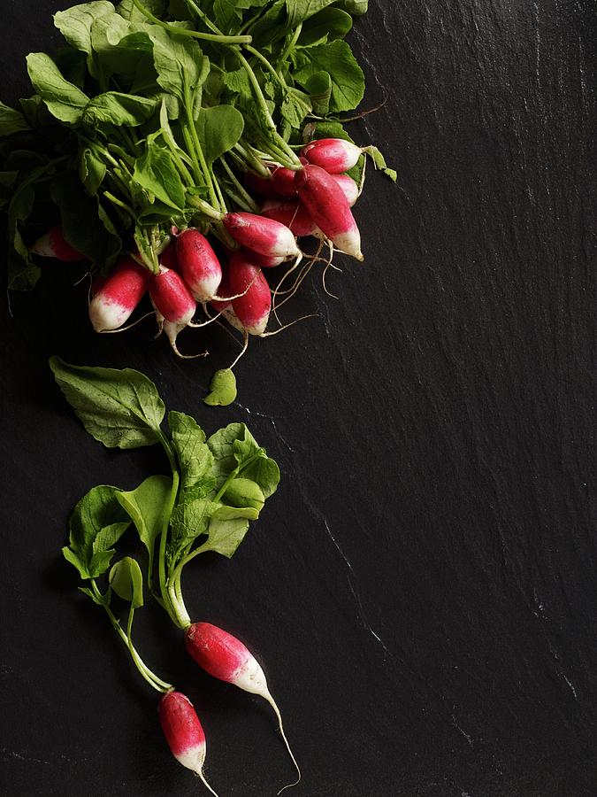 Radishes Photograph by Lauren Mclean