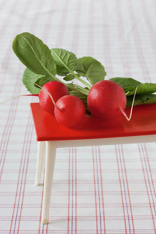 Radishes On Red Dolls House Table On Checked Tablecloth Photograph by Sabine Lscher