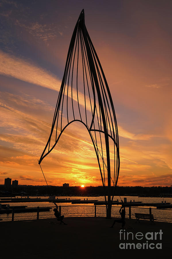 Rafaga Unleashed Sunset 2 by Rachel Cohen Rafaga Unleashed Sunset 2 by Rachel Cohen