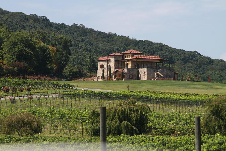 Raffaldini Vineyards And Winery 2018k Photograph by Cathy Lindsey