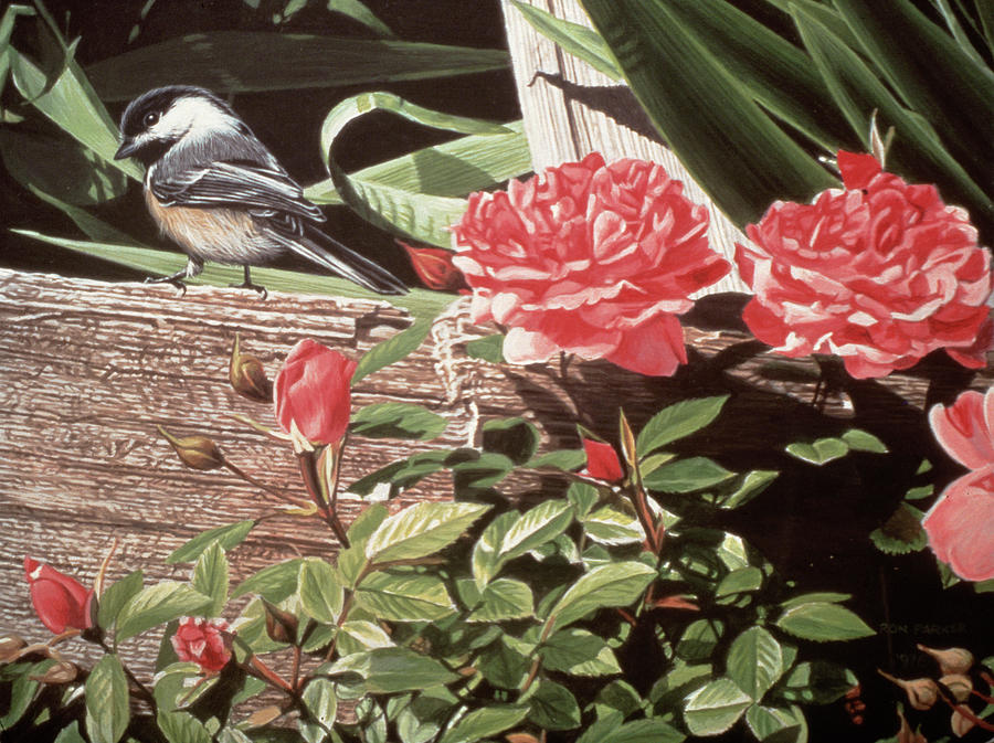 Chickadee Painting - Rail Fence And Roses by Ron Parker