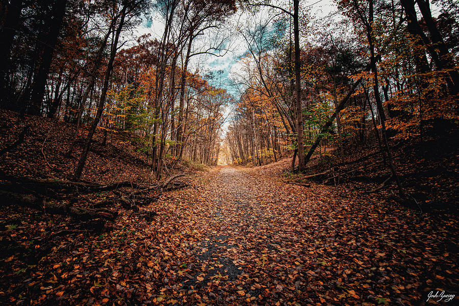 Rail Trail Mt Gretna Photograph by Joshua Zaring Fine Art America