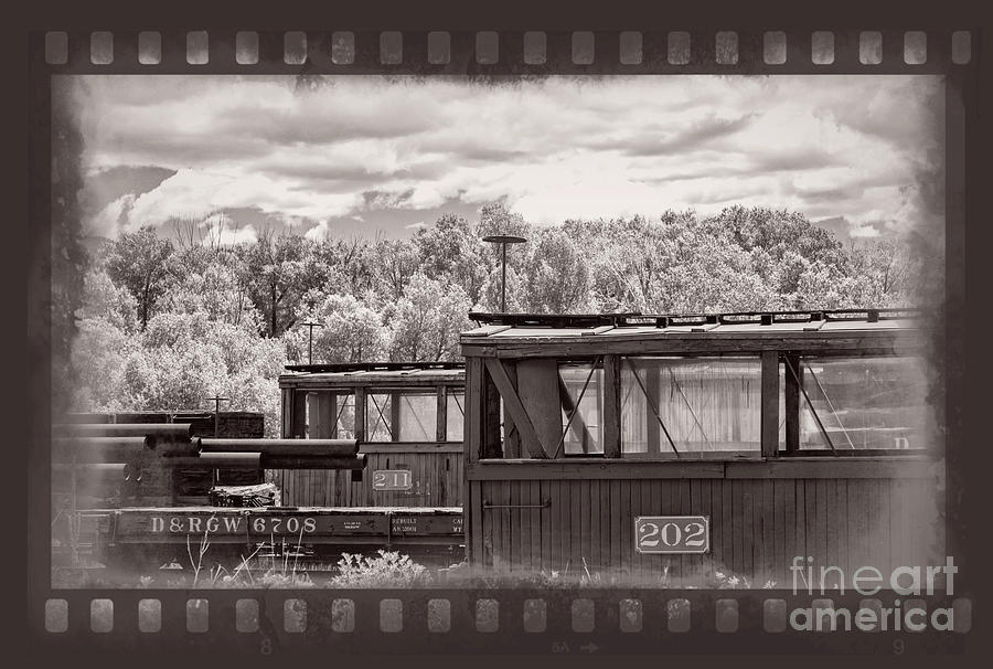 Railroad Cars Photograph by Imagery by Charly