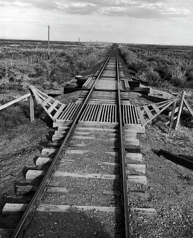 Tracks Photograph - Railroad Tracks by Alfred Eisenstaedt