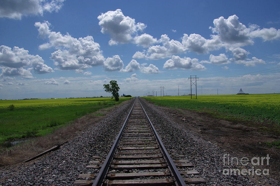 Railroad Tracks As Far As The Eye Can See Photograph