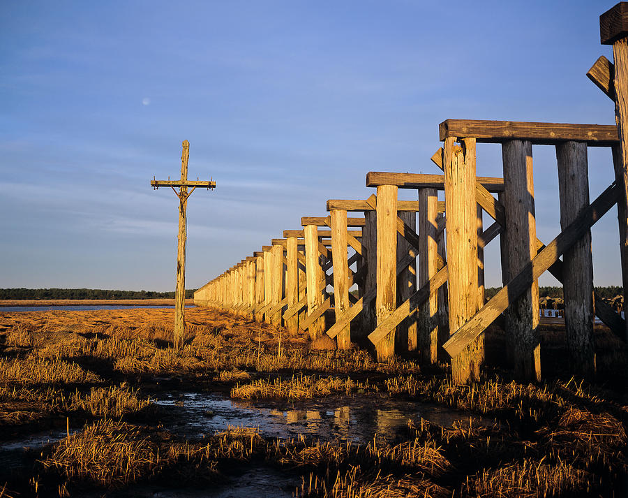 Railroad Trestle Photograph by Robert Potts