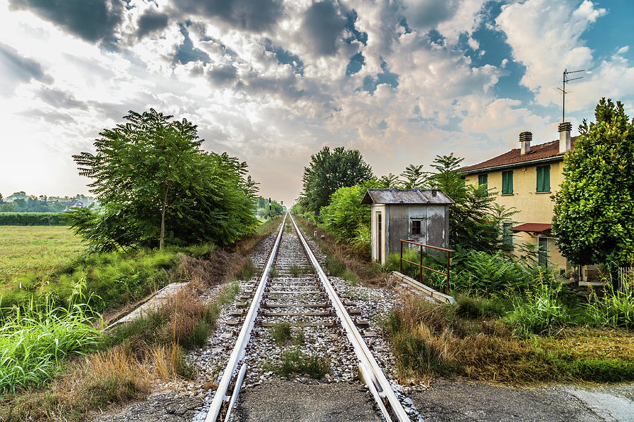 Rails of a country railroad crossing  Photograph by Vivida Photo PC