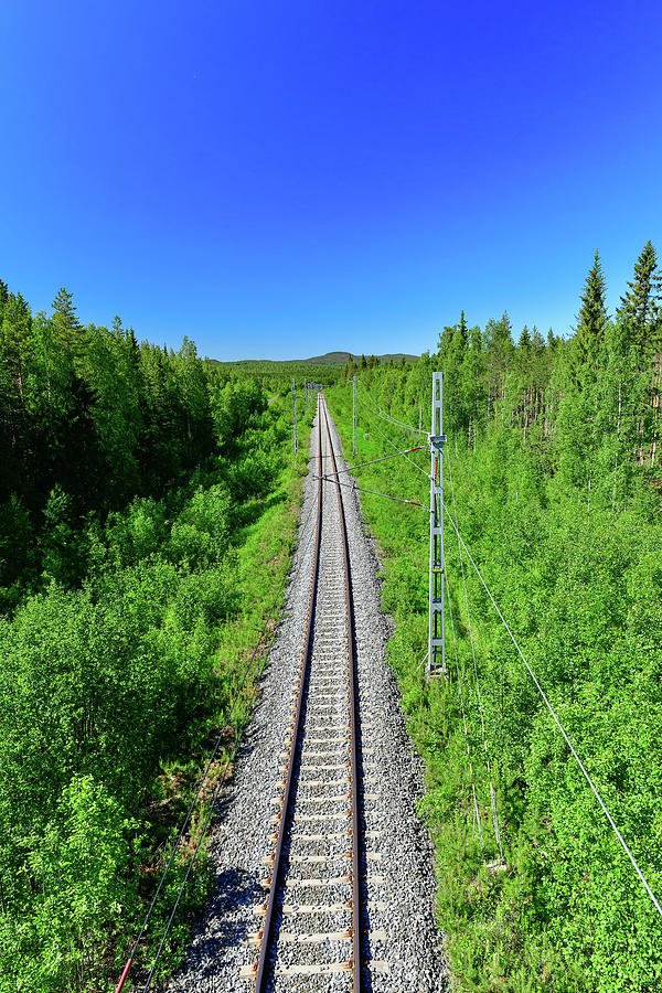 Railway Tracks In The Forest In Lapland, Near Hundsjn, Boden, Norrbottens Ln, South Sweden Photograph by Torsten Rathjen