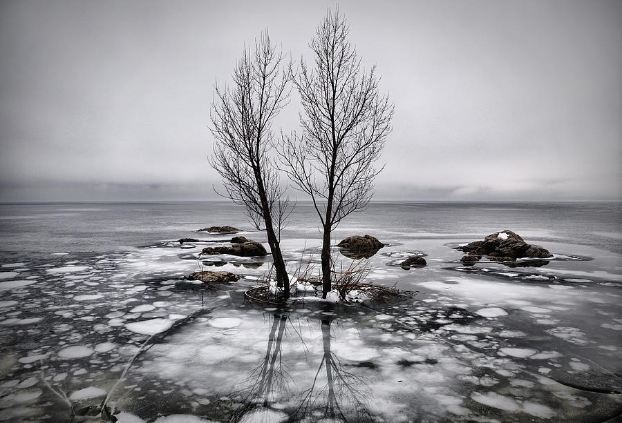 Rain And Ice Photograph by Vedran Vidak