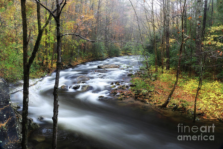 Rain and River 2 by Rick Lipscomb Rain and River 2 by Rick Lipscomb