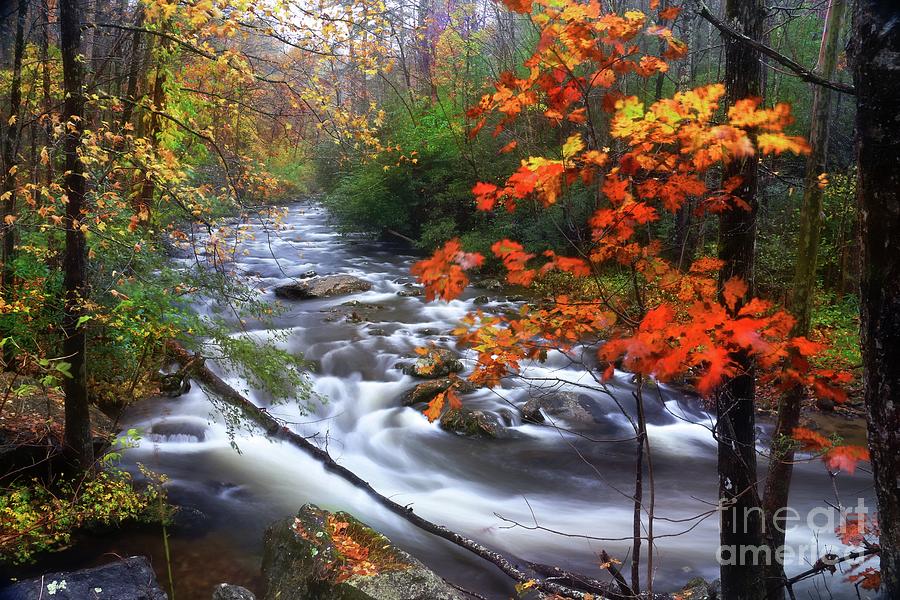 Rain and River by Rick Lipscomb Rain and River by Rick Lipscomb
