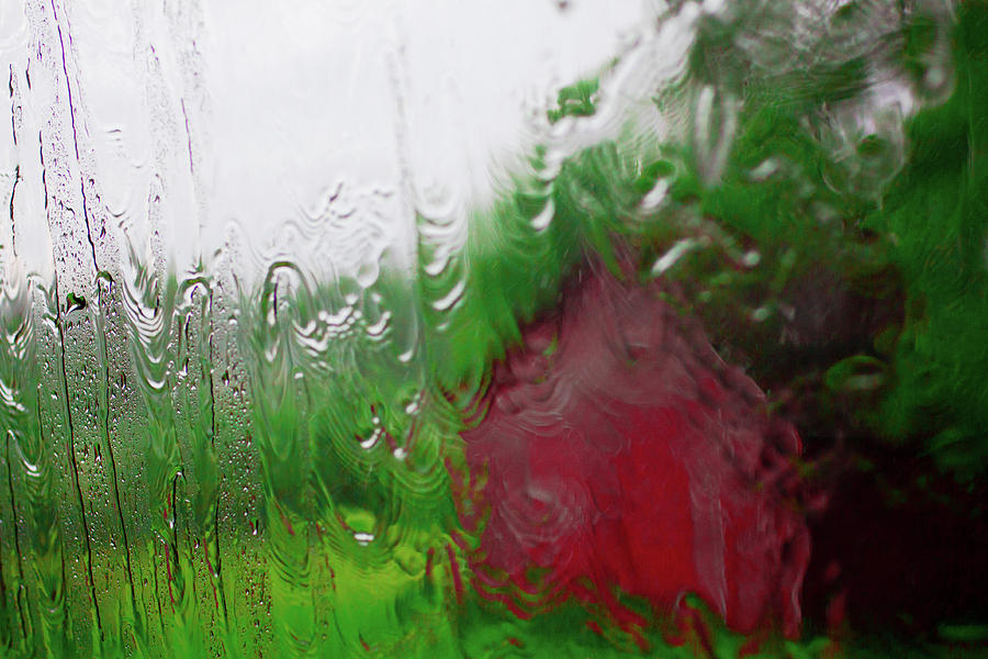 rain and that chicken coop by Cynthia Dickinson rain and that chicken coop by Cynthia Dickinson