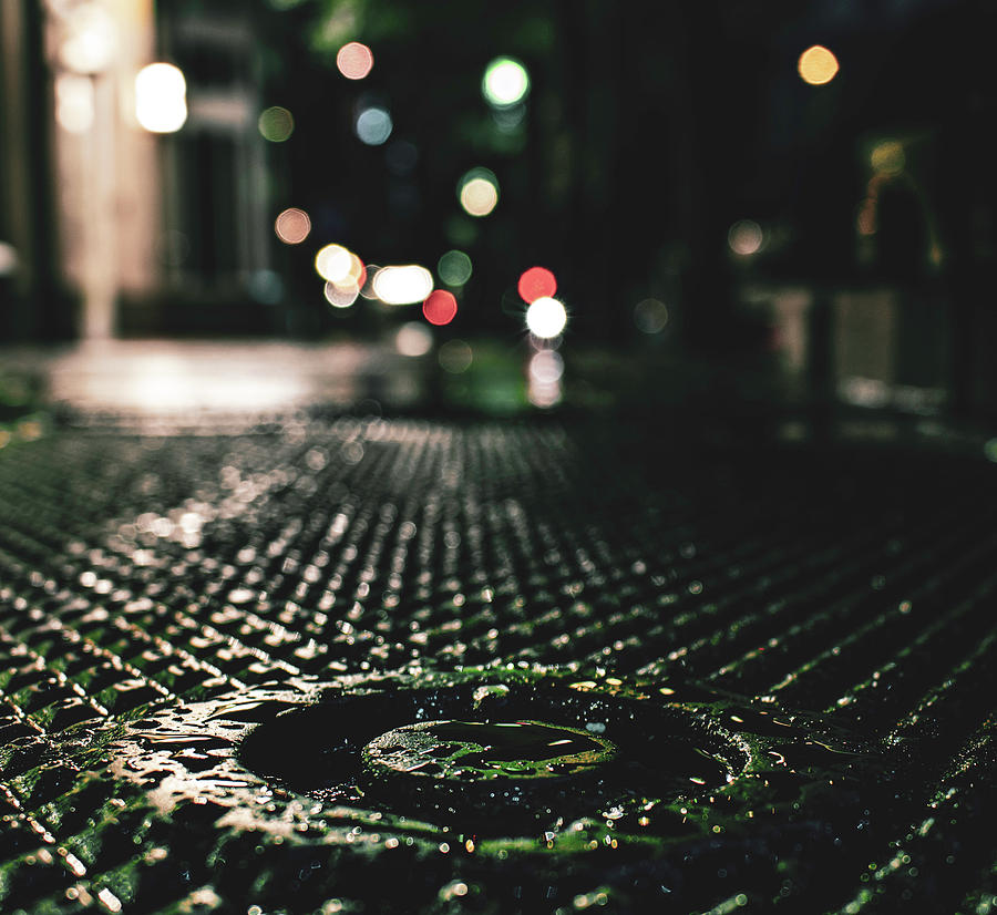 Rain Bokeh by Stephen Riella Rain Bokeh by Stephen Riella
