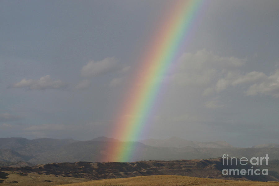 Rain Bow Photograph by Edward R Wisell