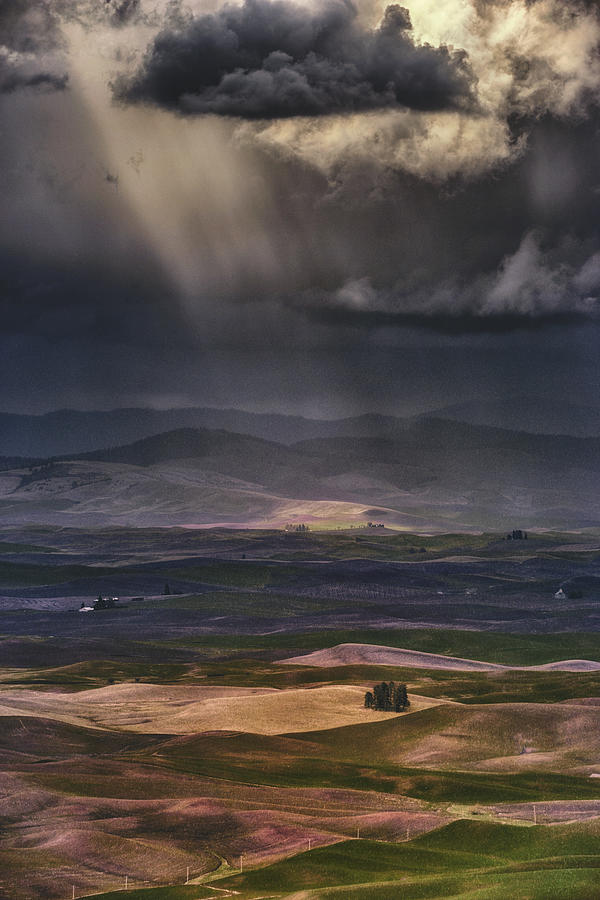 Landscape Photograph - Rain Clouds by Lydia Jacobs