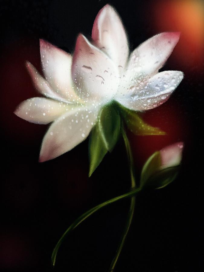 Rain Drops on a Water Lily Digital Art by Michele Koutris