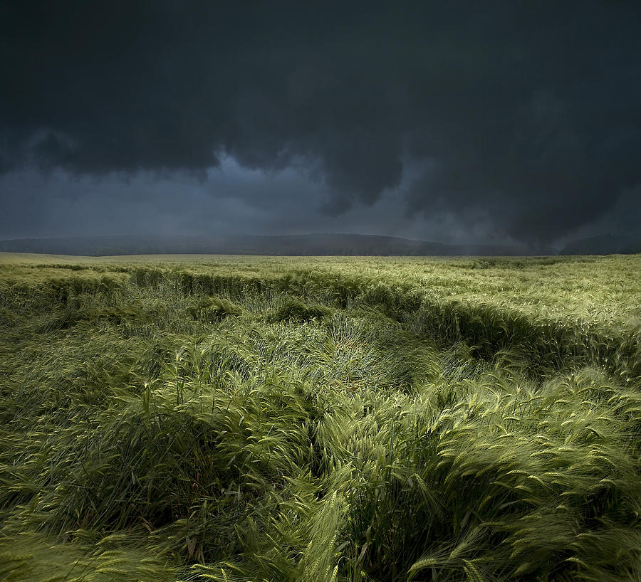 Rain Photograph by Franz Schumacher