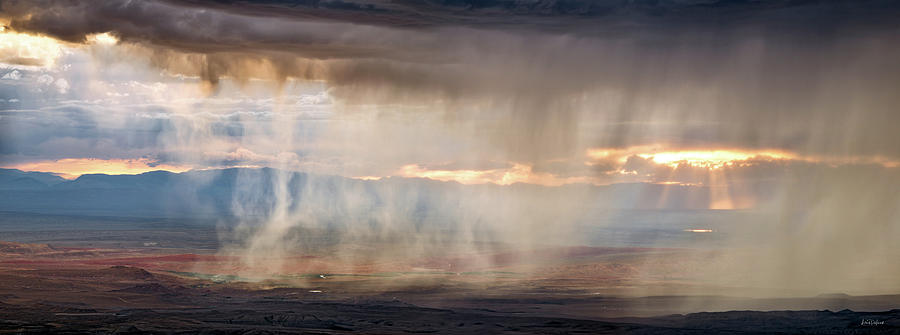 Rain Photograph by Leland D Howard