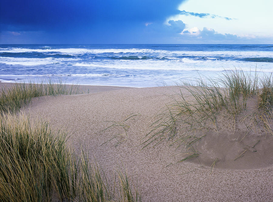 Rain on a Dune by Robert Potts Rain on a Dune by Robert Potts