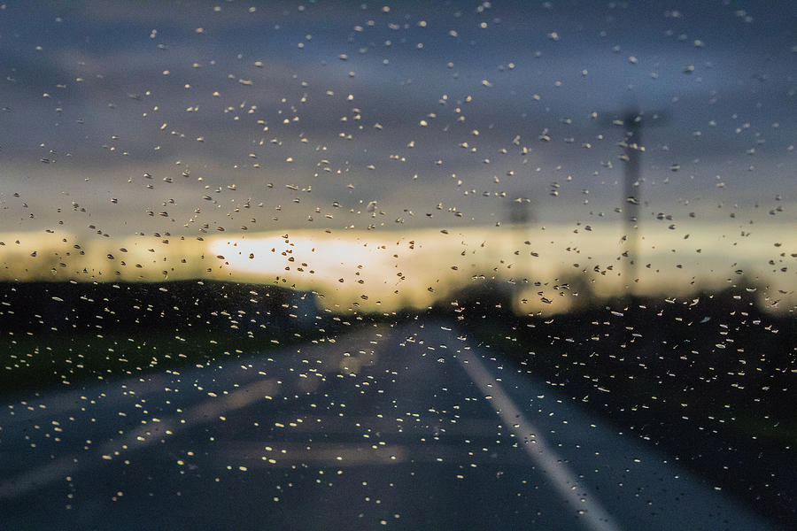 Landscape Photograph - Rain on Windshield  by Helena Romero