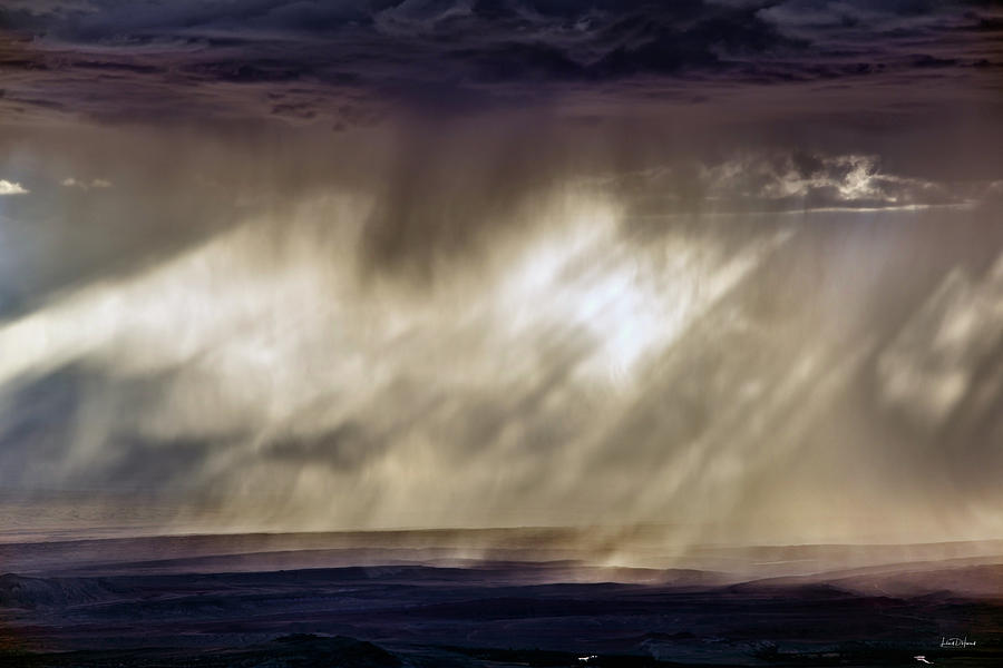 Rain Patterns Photograph by Leland D Howard