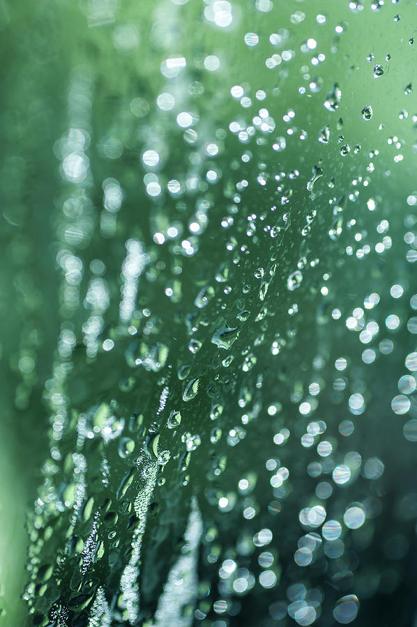 Rain Poems Photograph by Jenny Rainbow