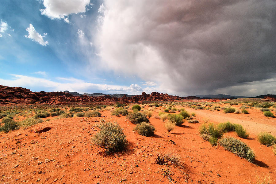 Nature Photograph - Rain Storm In The Valley Of Fire by Cavan Images