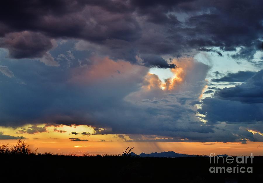 Rain Sweeps Across The Desert Photograph by Janet Marie