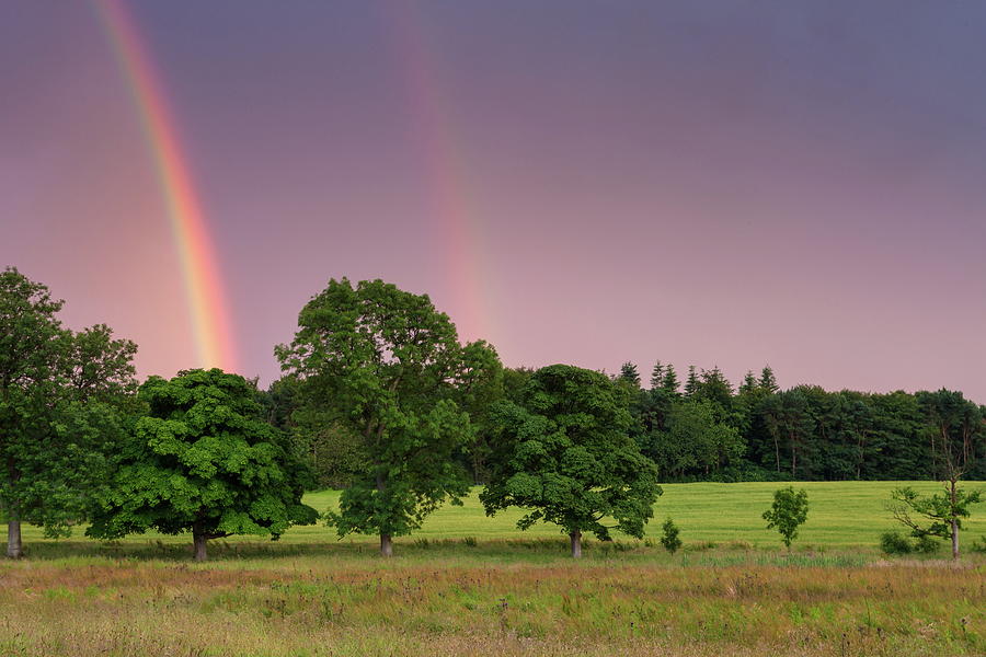 Rainbow Above Field Digital Art by Gerth Roland