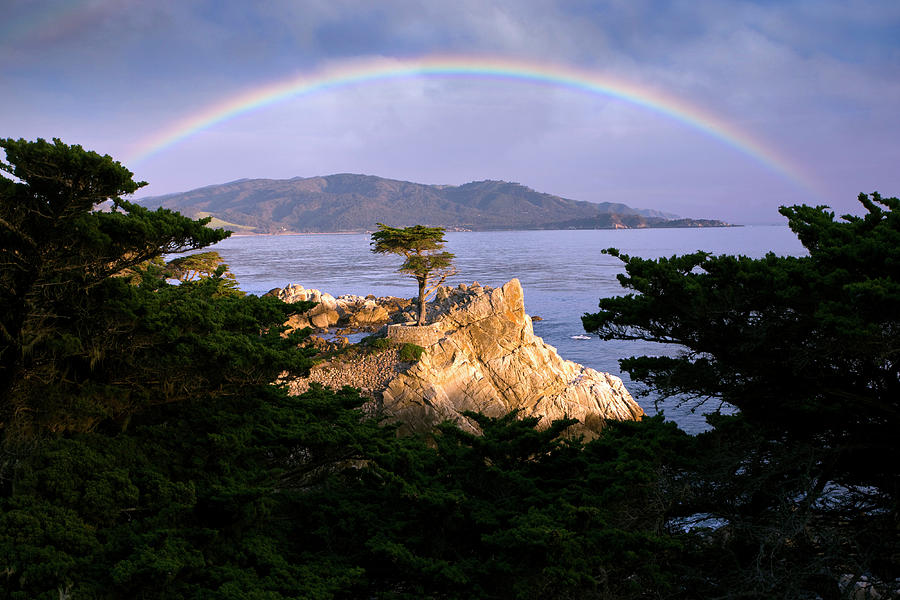 Nature Digital Art - Rainbow Above Monterrey Cypress, Ca by Hp Huber