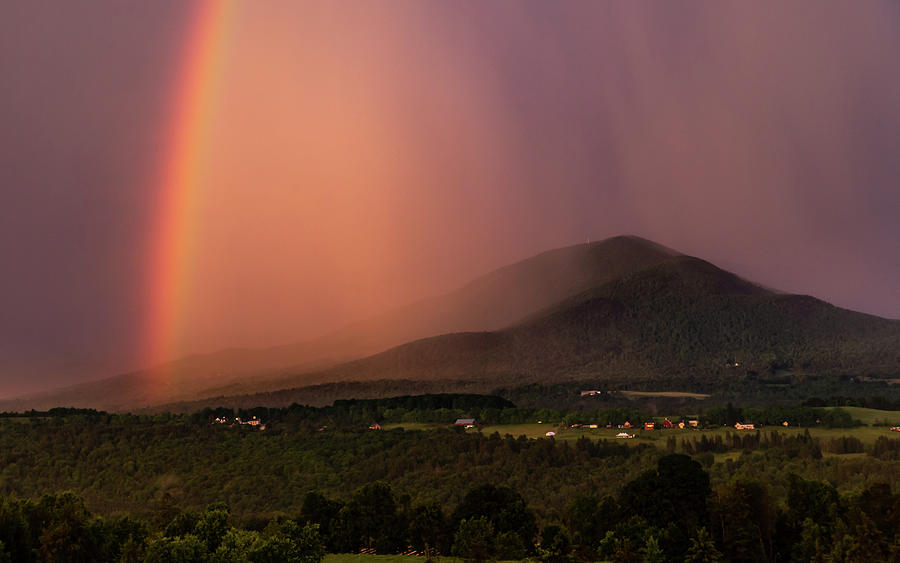 Rainbow and Burke Photograph by Tim Kirchoff