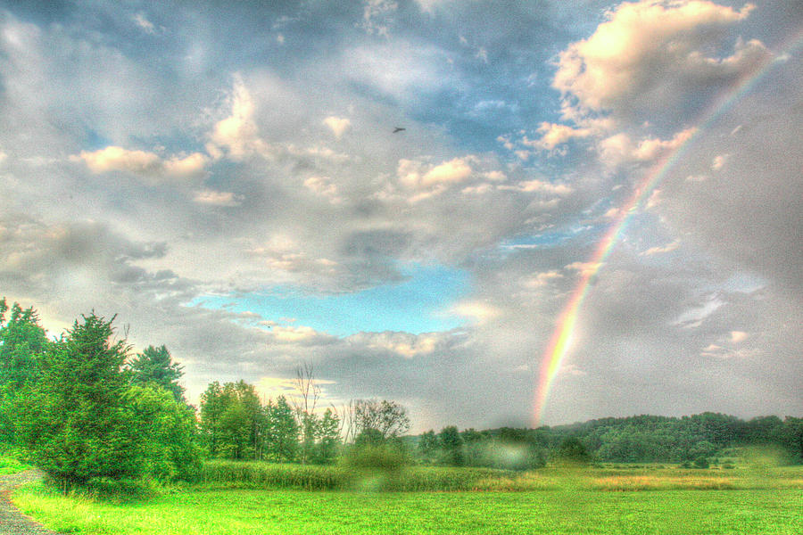 Rainbow Photograph - Rainbow And Heron by Robert Goldwitz