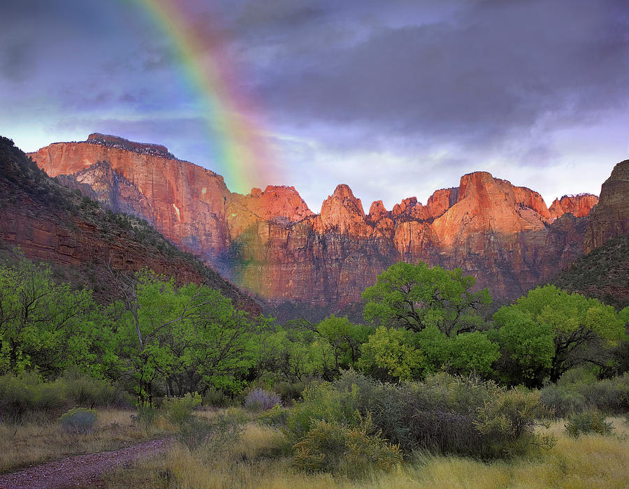 Rainbow At Towers Of The Virgin, Zion National Park, Utah Photograph by Tim Fitzharris