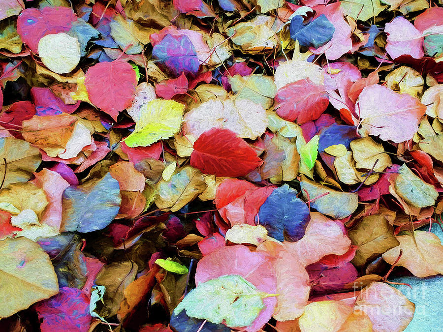 Rainbow Autumn Leaves Painterly Photograph by Andee Design