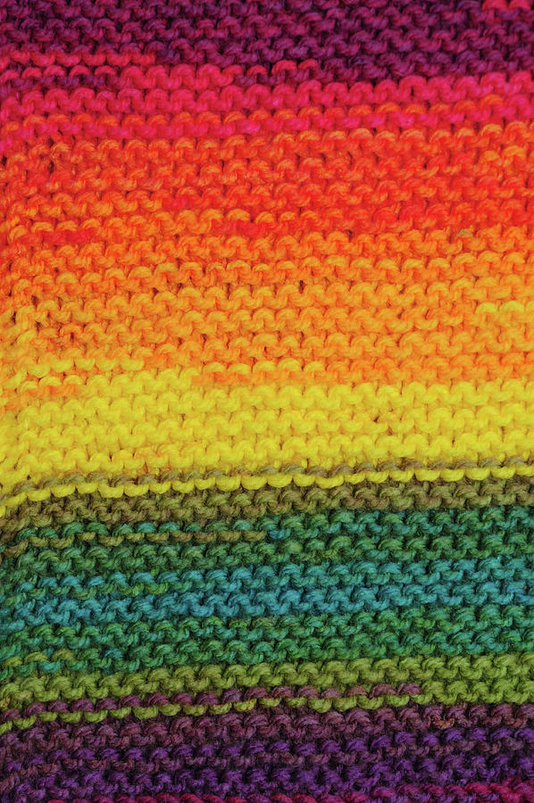 Rainbow Colors and Knitting Passion. Eden Photograph by Jenny Rainbow
