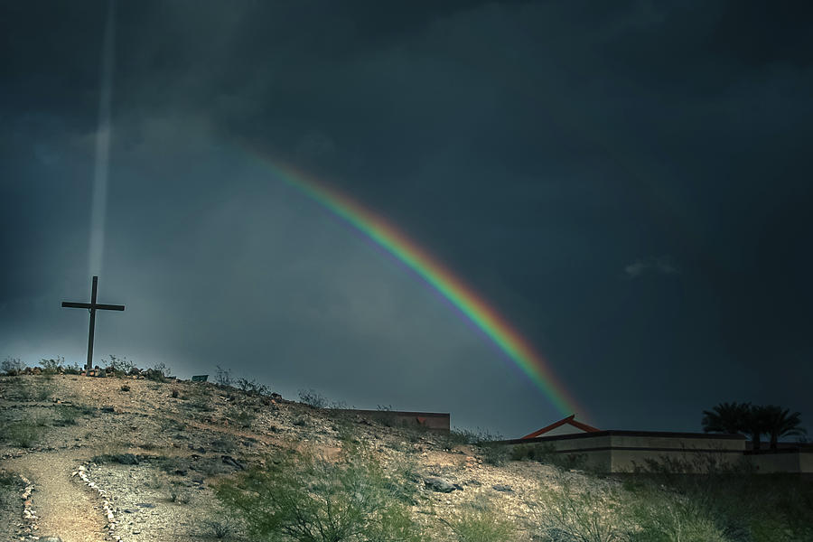 Rainbow Garden Photograph by Darrell Foster