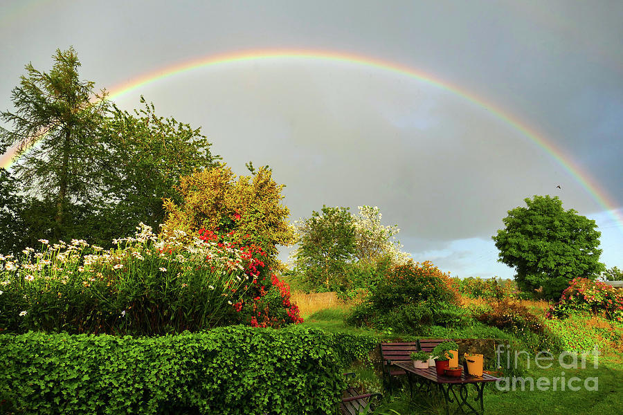 Rainbow Garden Photograph by Phil Banks