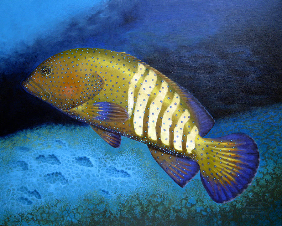 Rainbow Grouper Painting by Adrienne Dye