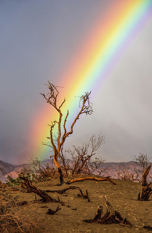 Rainbow in Death Valley Photograph by Minnie Gallman