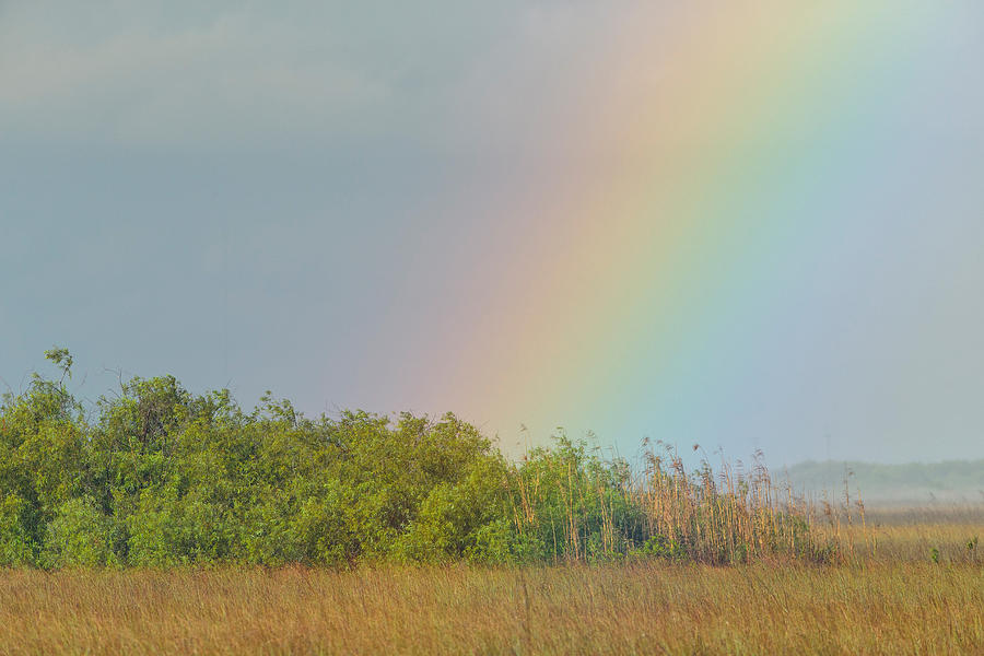Rainbow In Everglades National Park Photograph by James Zipp