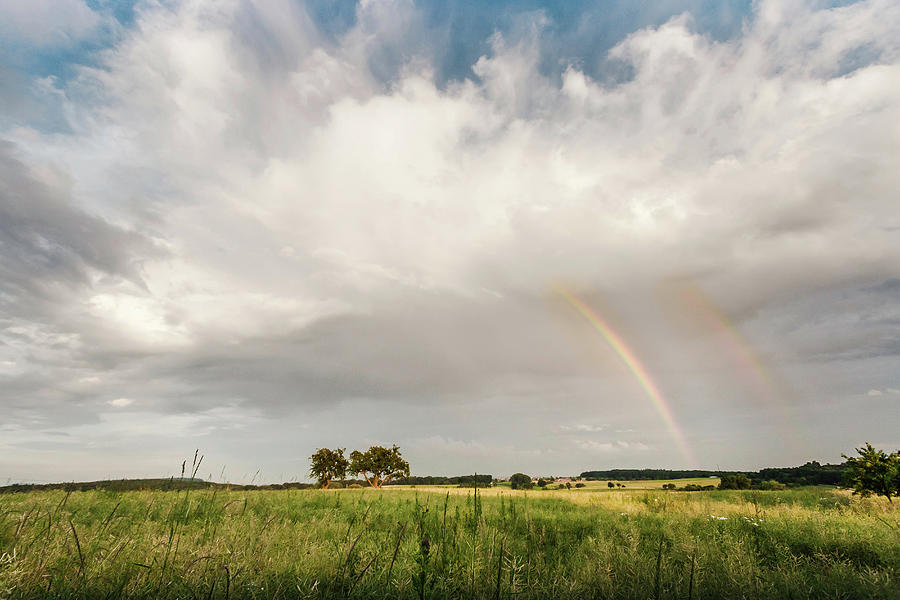 Rainbow In Field, Nussbaum Photograph by Manuel Sulzer