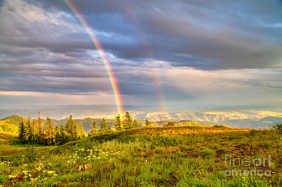 Rainbow in the Blue Mountains Photograph by Bruce Block