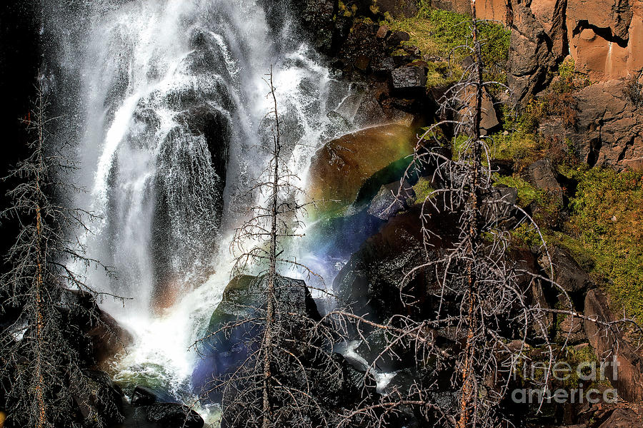 Waterfall Photograph - Rainbow in the Mist by Jim Garrison