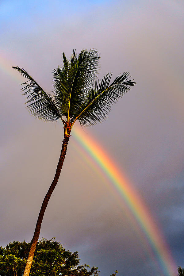Rainbow just before Sunset Photograph by John Bauer