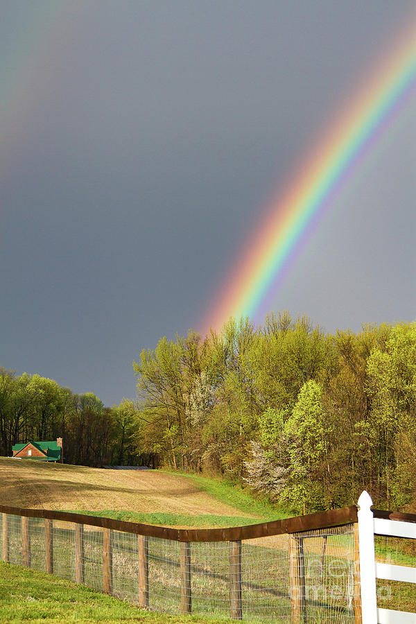 Rainbow Photograph by Kathy Sherbert