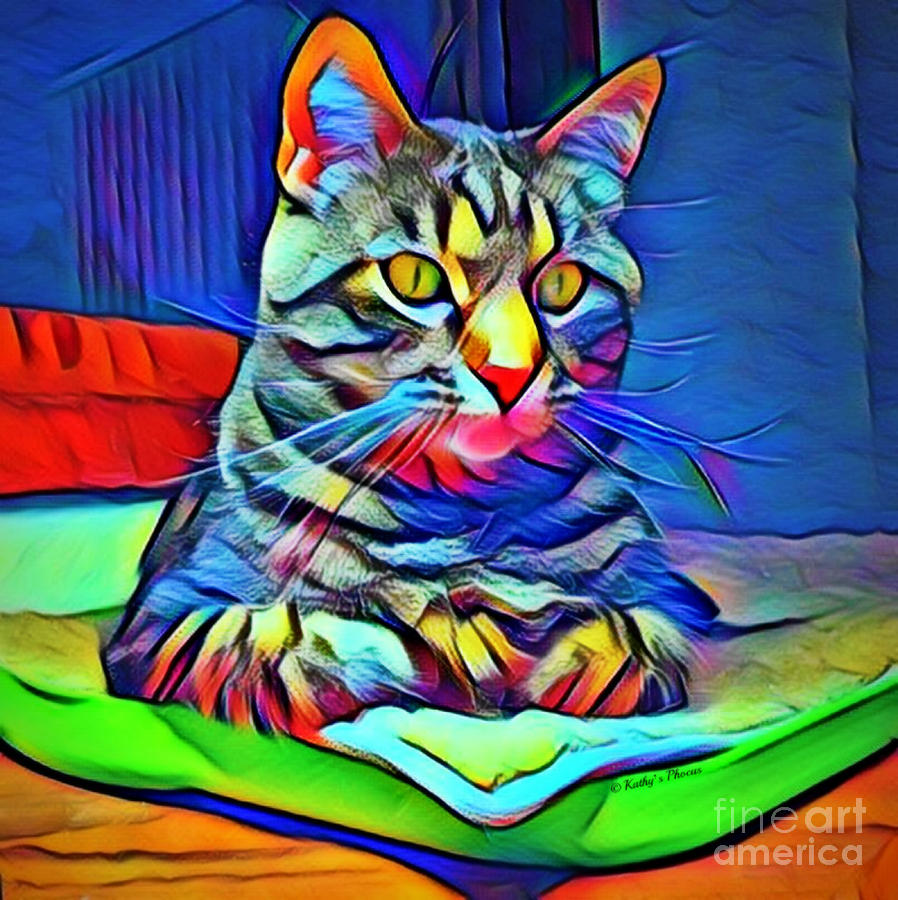 na na rainbow kitty